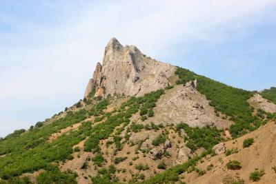 Прикрепленное изображение: IMG_2769.JPG